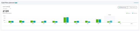 Cash Flow Planner Web