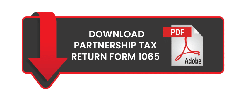 IRS Partnership Tax Return Form 1065