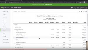 profit and loss statement in quickbooks