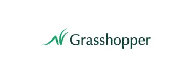 Grasshopper digital-only Bank
