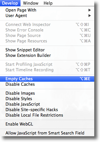 Empty Caches to remove data from Safari