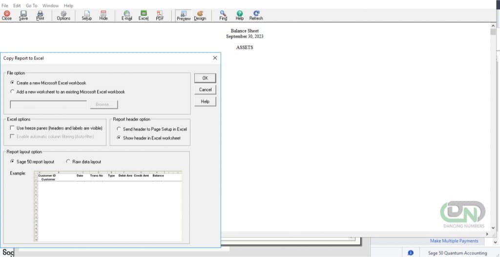 How to Migrate from Sage 50 to QuickBooks Online 6 Export Balance Sheet