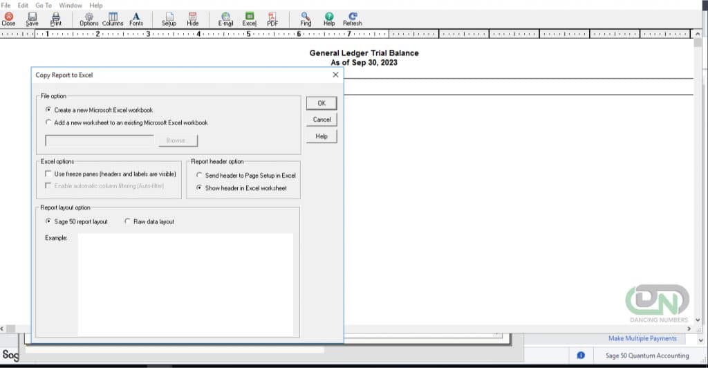How to Migrate from Sage 50 to QuickBooks Online 5 Export Trial Balance
