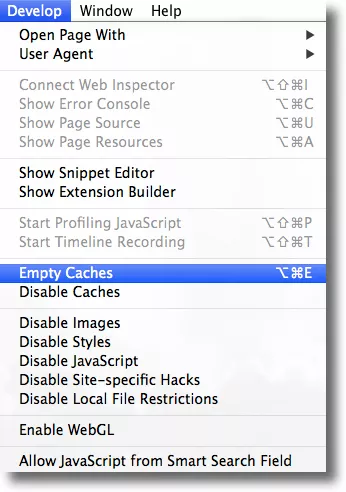Empty Caches to remove data from Safari